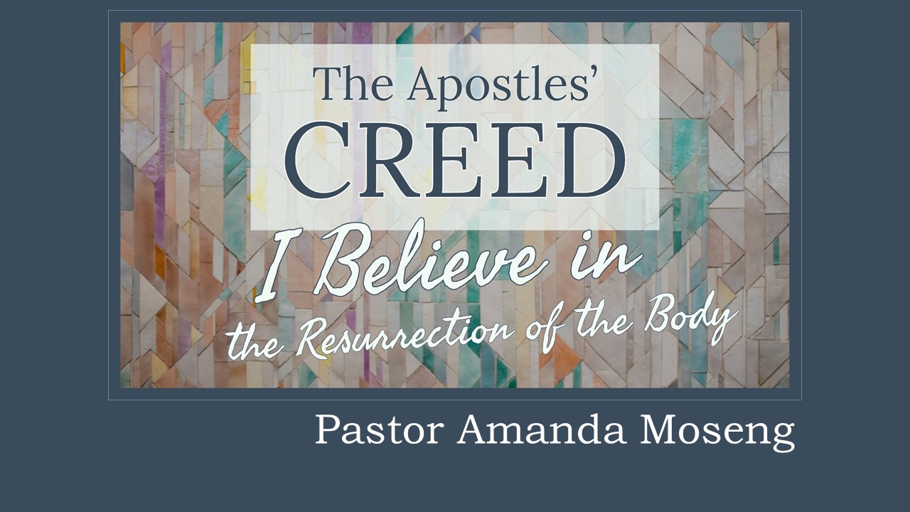 Creed: I Believe in the Forgiveness of Sins, sermon by Amanda Moseng
