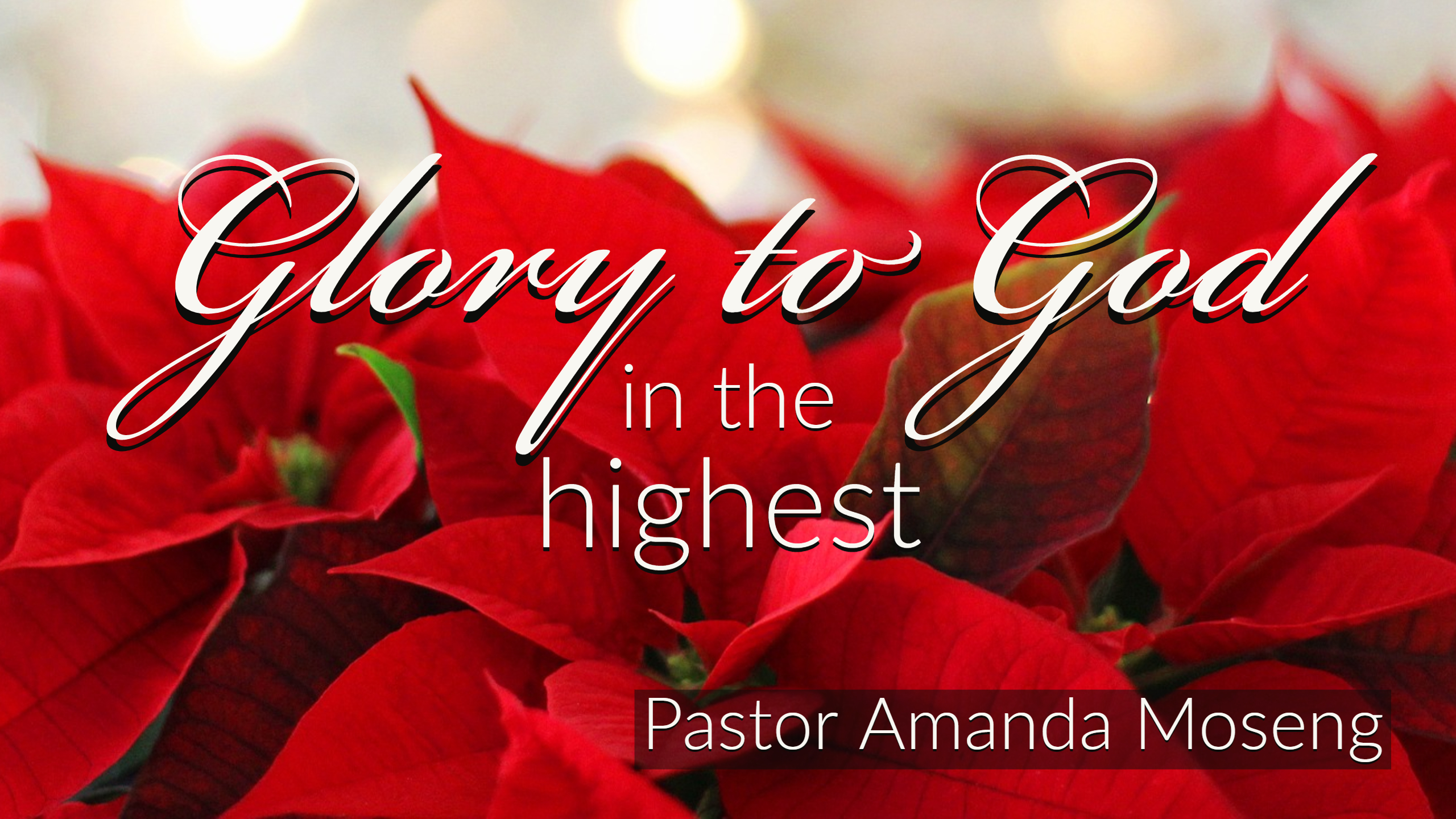 Glory to God in the Highest - December 30, 2018