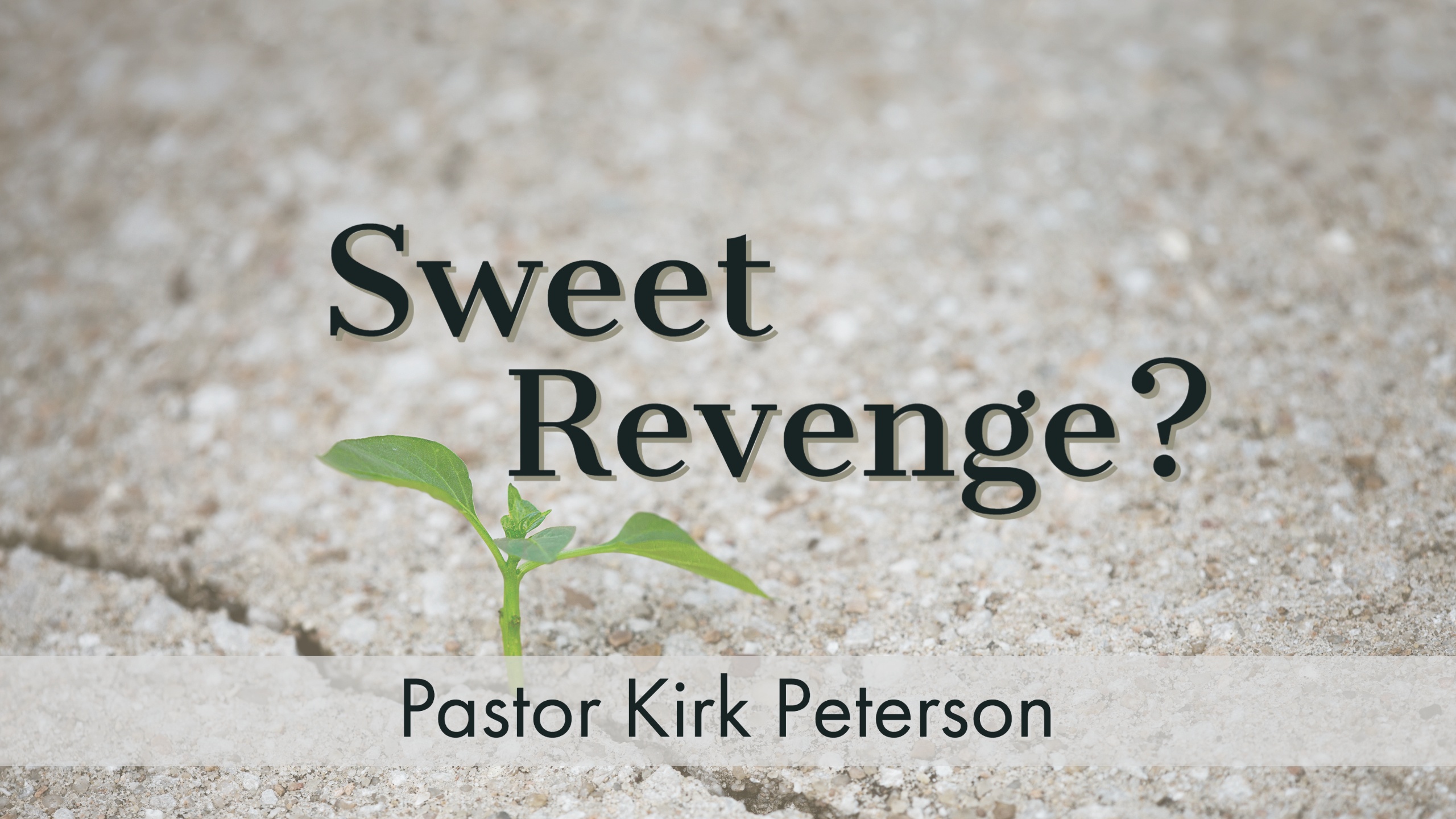 Sermon Series Title: You'll Get Through This