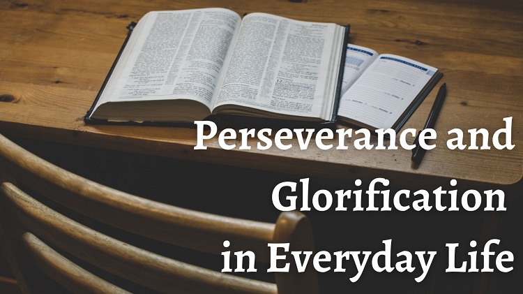 Scripture in Everyday Life Week 12: Aug 21 “Perseverance and Glorification in Everyday Life”