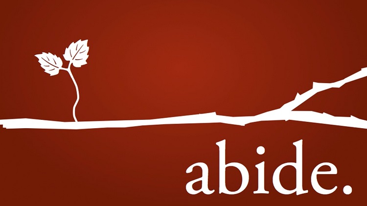 Abide Series Week 3 “The Test of Truth, The Call to Abide”